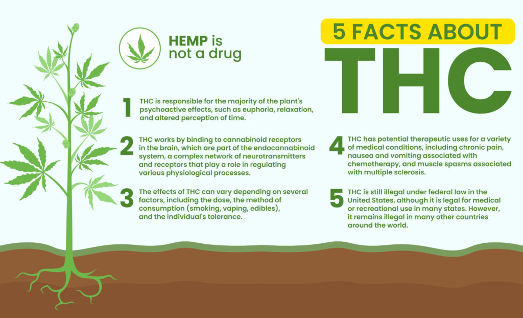 facts about thc